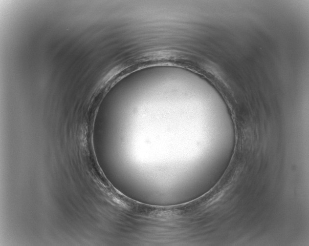 X0000062150778200512161233