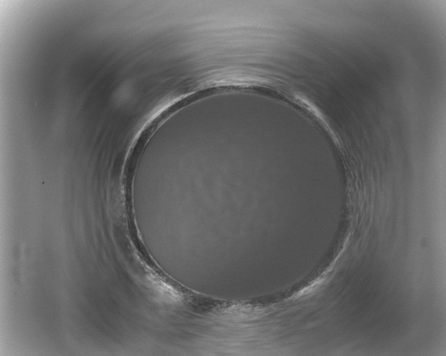 X0000062150779200512161233