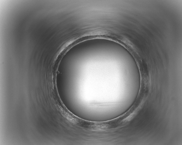 X0000062150781200512161233