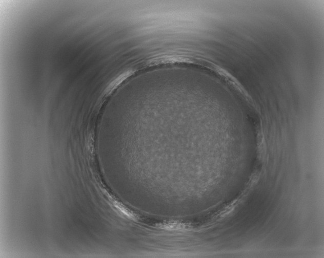 X0000062150785200512161233