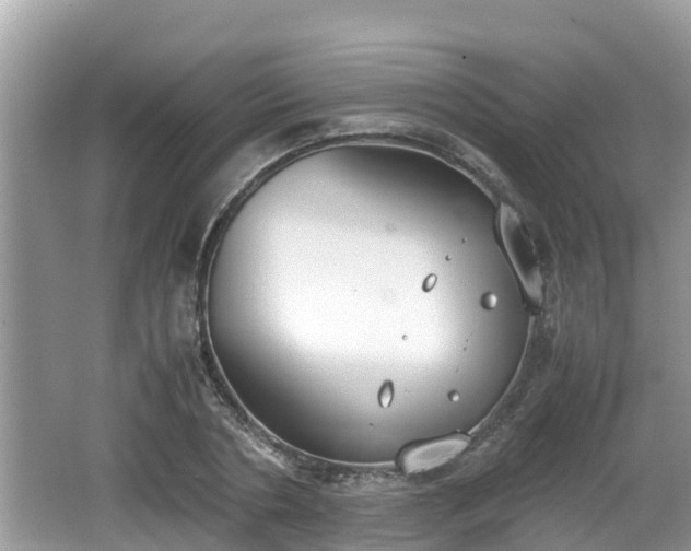 X0000062150786200512161233