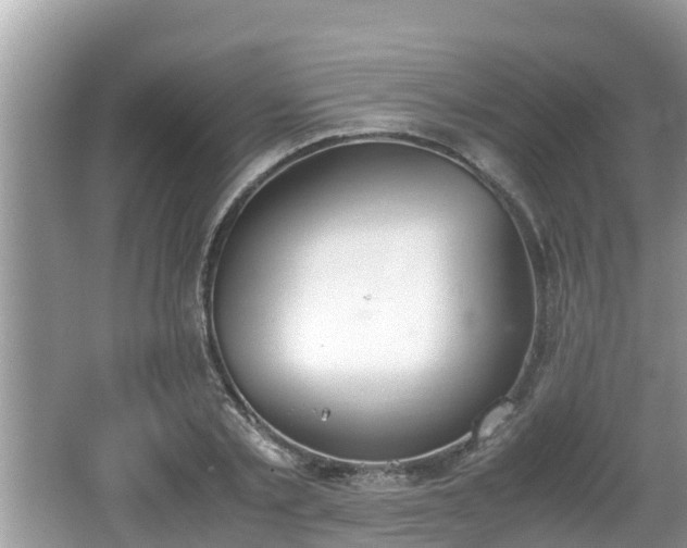 X0000062150789200512161233