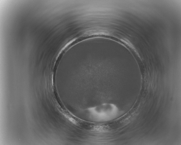 X0000062150790200512161233