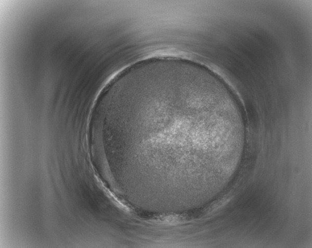 X0000062150791200512161233