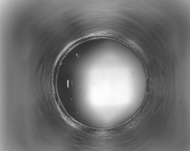 X0000062150792200512161233