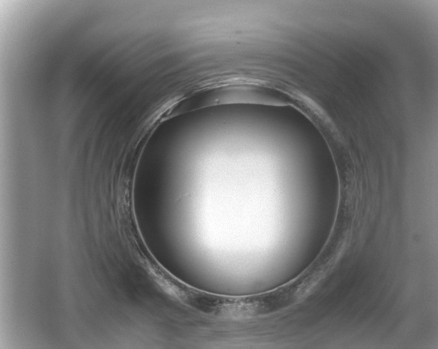 X0000062150793200512161233