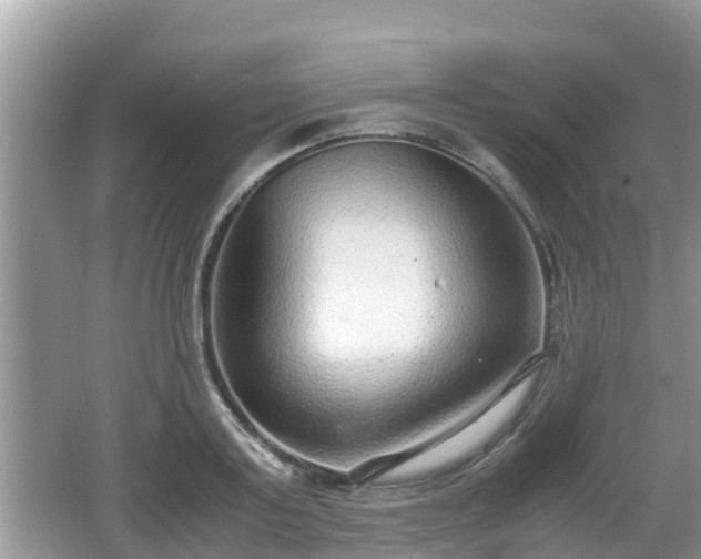 X0000062150795200512161233