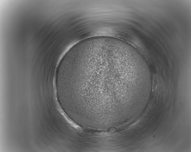 X0000062150796200512161233