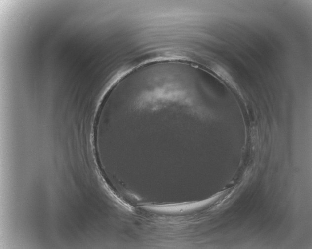 X0000062150797200512161233