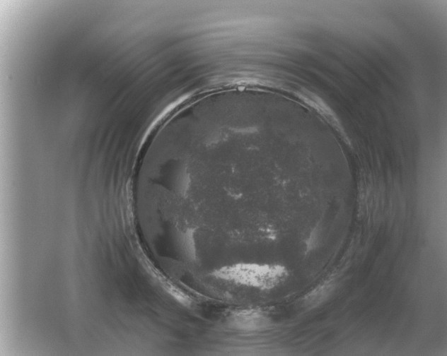 X0000062150798200512161233