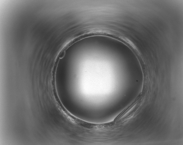 X0000062150799200512161233