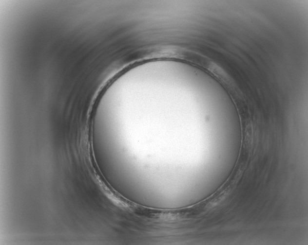 X0000062150800200512161233