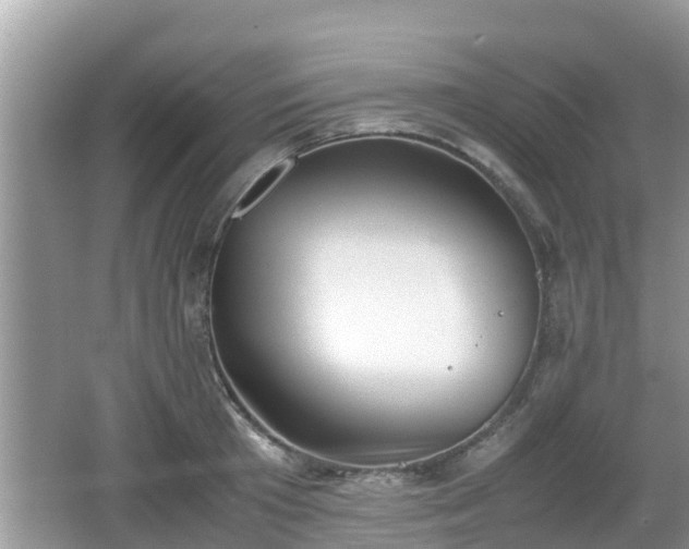 X0000062150801200512161233