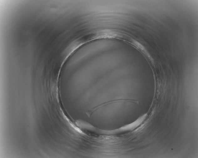 X0000062150802200512161233