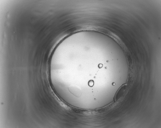 X0000062150804200512161233