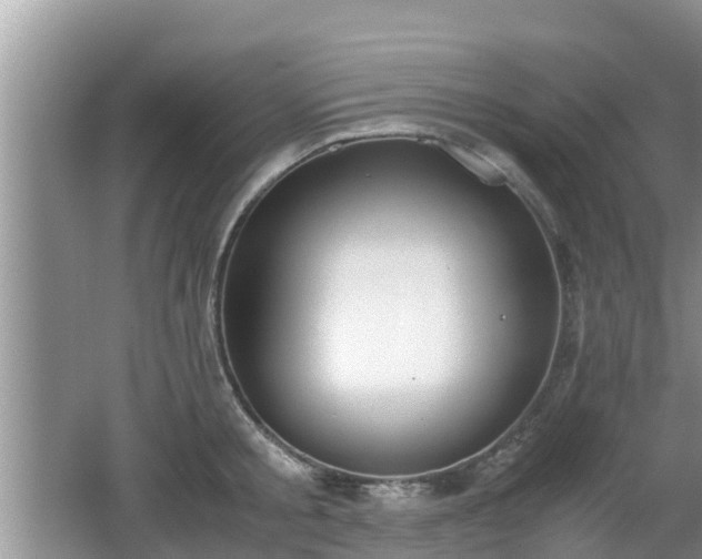 X0000062150805200512161233