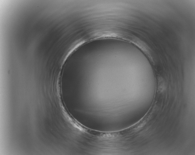 X0000062150806200512161233