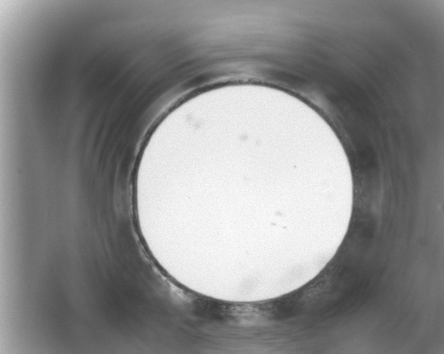 X0000062150807200512161233