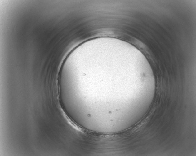 X0000062150808200512161233