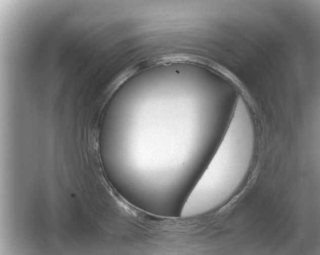 X0000062150809200512161233