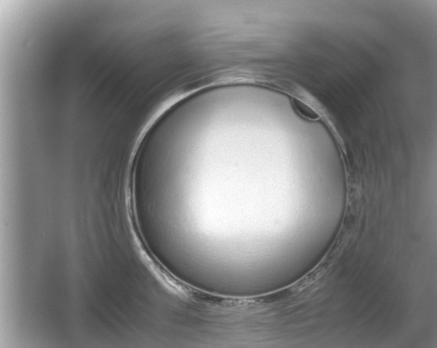 X0000062150811200512161233