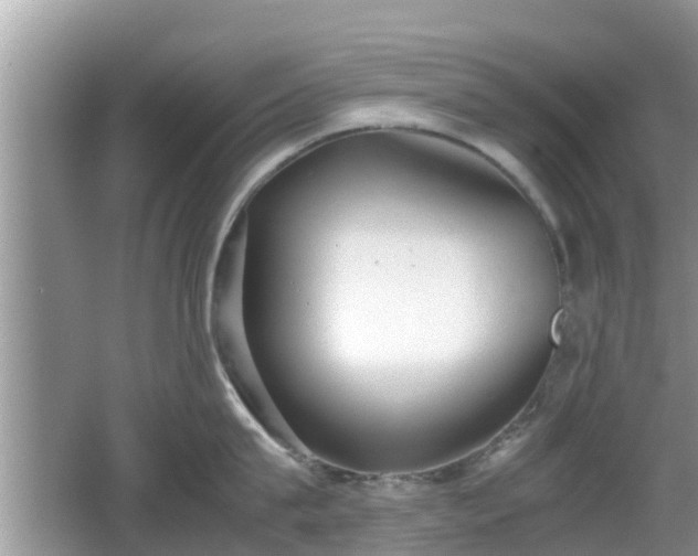 X0000062150815200512161232