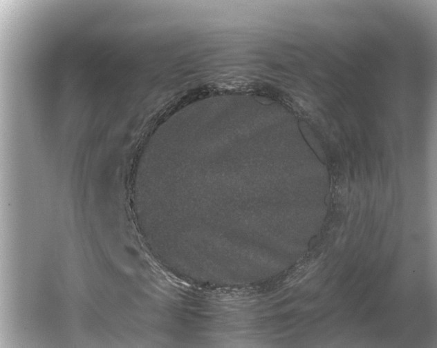 X0000062150817200512161232