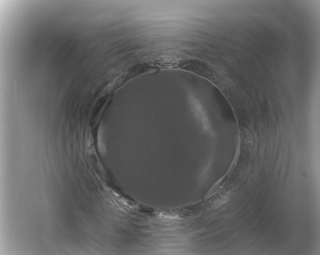 X0000062150818200512161232