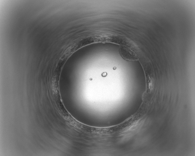 X0000062150819200512161232