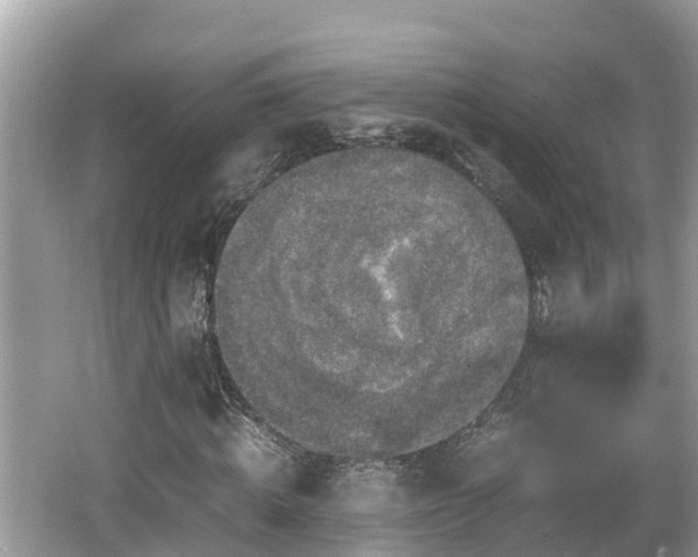 X0000062150820200512161232