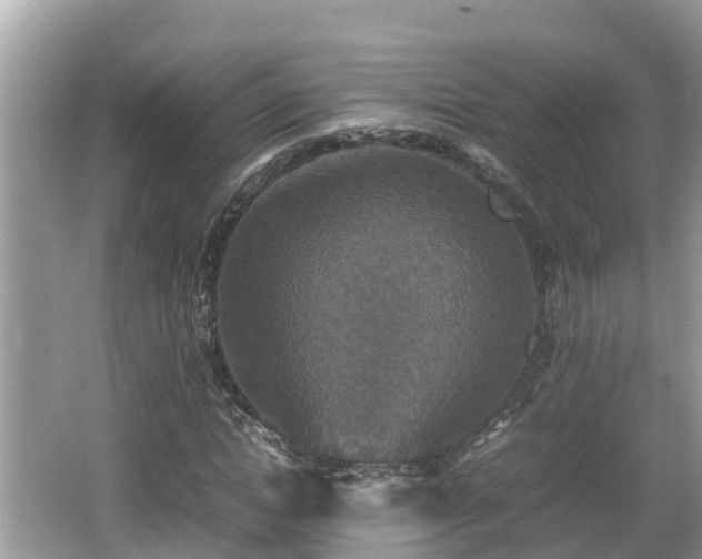 X0000062150822200512161232