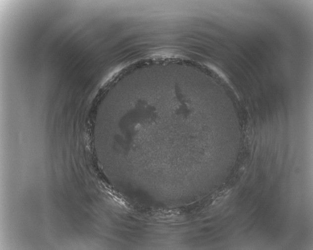 X0000062150823200512161232