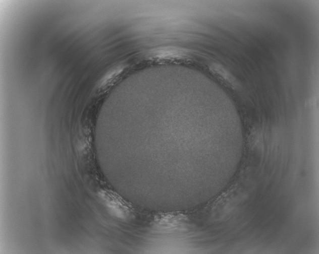 X0000062150824200512161232