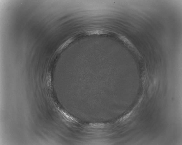 X0000062150825200512161232