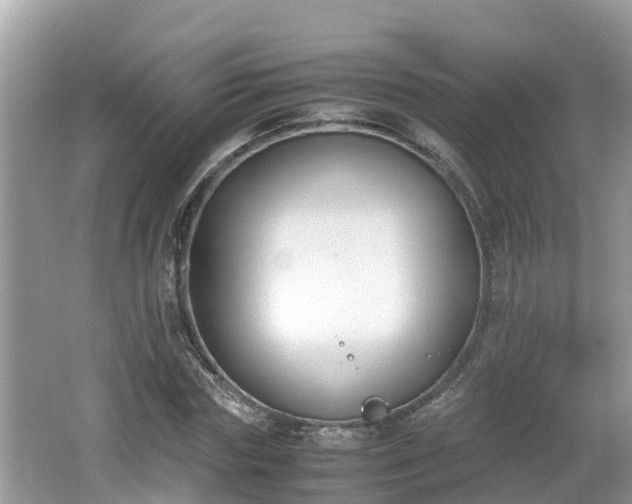 X0000062150827200512161232