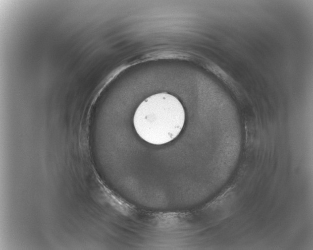 X0000062150828200512161232