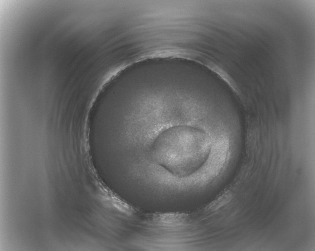 X0000062150832200512161232