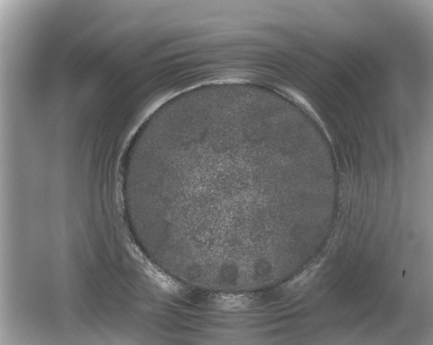 X0000062150835200512161232