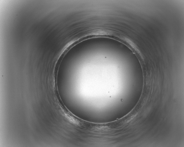 X0000062150837200512161232