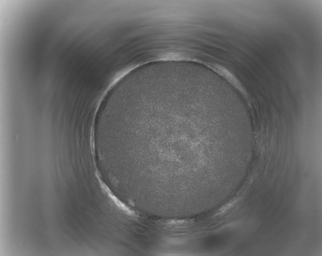 X0000062150839200512161232