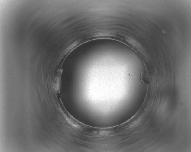 X0000062150841200512161232