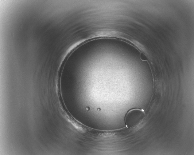 X0000062150846200512161232