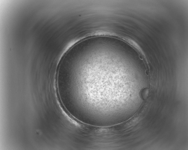 X0000062150847200512161232