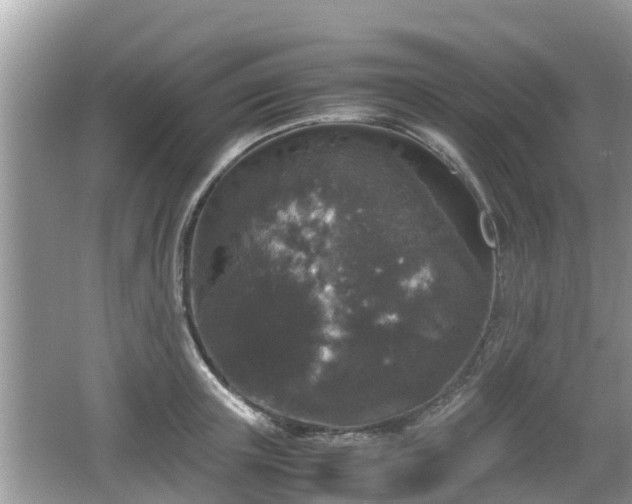 X0000062150851200512161232