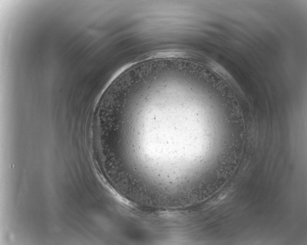 X0000062150852200512161232