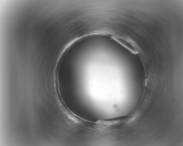 X0000062150854200512161232