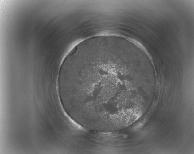 X0000062150855200512161232