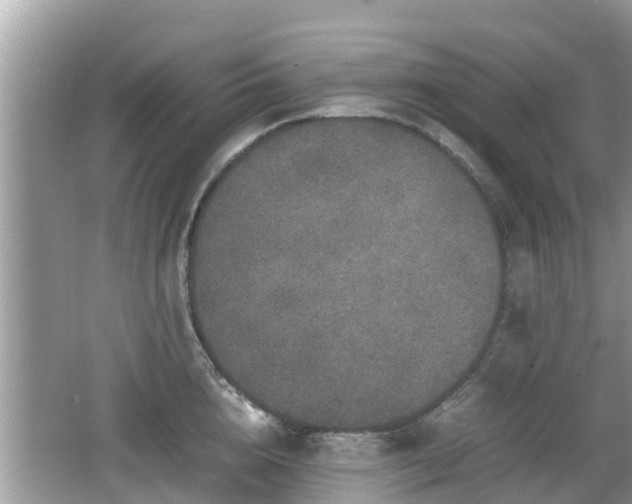 X0000062150856200512161232