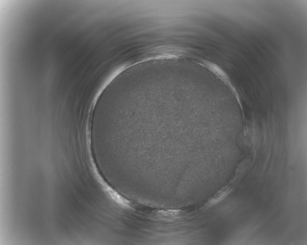 X0000062150859200512161232