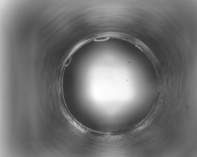 X0000062150860200512161232